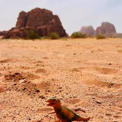 Reperti archeologici nel deserto
