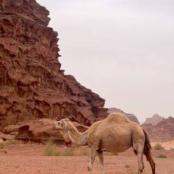 Ogni tanto si incontra qualcuno per strada