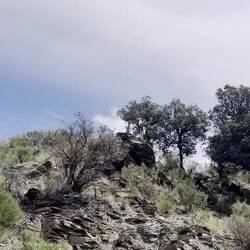 Immerhin wär ich in bester Gesellschaft 🐐