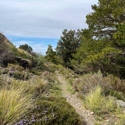 Ab hier verbessert sich der Weg wieder etwas, sodass..