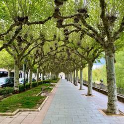 Parque de la isla