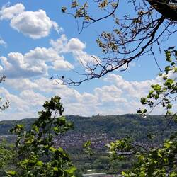 Fuchsturm in der Ferne