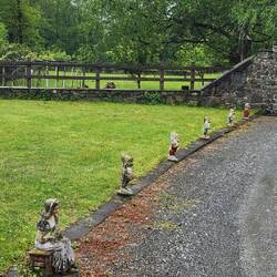 Snow White and five dwarfs!