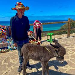 Cutest little burro ever!