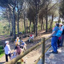 We stopped for a picnic in this area