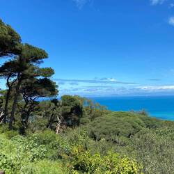 From this vantage point on the Straight of Gibraltar, you could see Spain