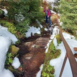 Frodo schaut sich die Klammern an!