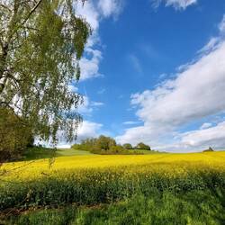 Kurz vor dem Ziel, unser letztes Bild!
