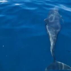 Dieses Video gehört zu Loreto, da war die maximale Anzahl Bilder schon erreicht...😉