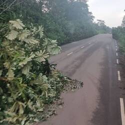 Bis auf kleine Ausnahmen