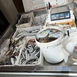 Fischverkauf in den Gassen