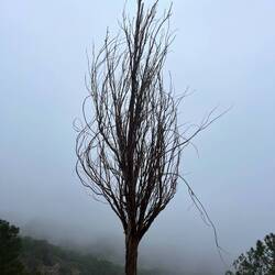 Im Nacken der immer stärker werdende Nebel.