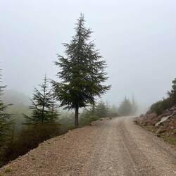 Nachdem der Regen aufhört, weht der Wind auch den Nebel hinfort und..