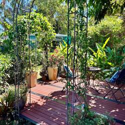 beautiful garden around the whole house