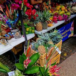So bunt wie die Blumen, sind auch die Früchte