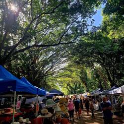 Sonntagsmarkt im Botanischen Garten