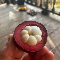 Ich kenne Dich nicht, aber Du bist sehr lecker 😋