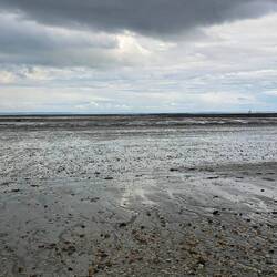 E l'acqua 🤔😄 ?