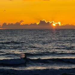 Surfer wipeout as the sun sets