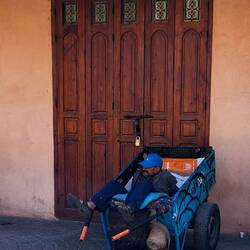 If Not a Camel or Horse Ride, Wheelbarrow?