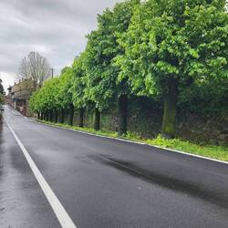 Entering into Piverone