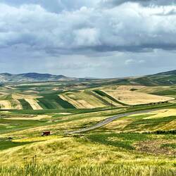 Hier wird intensive Landwirtschaft betrieben