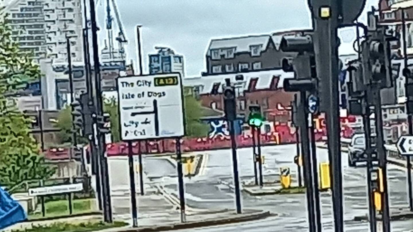 The city isle of dogs