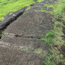 Petroglyfy Papa Vaka - tuňák a žralok