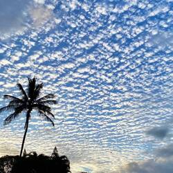 Habt einen schönen Tag