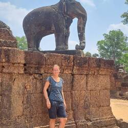 Elefanten wachen dort über alles