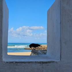 View from the Medina