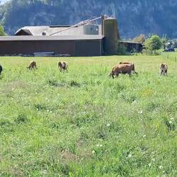 Need sound for this one. Do they not get a headache?