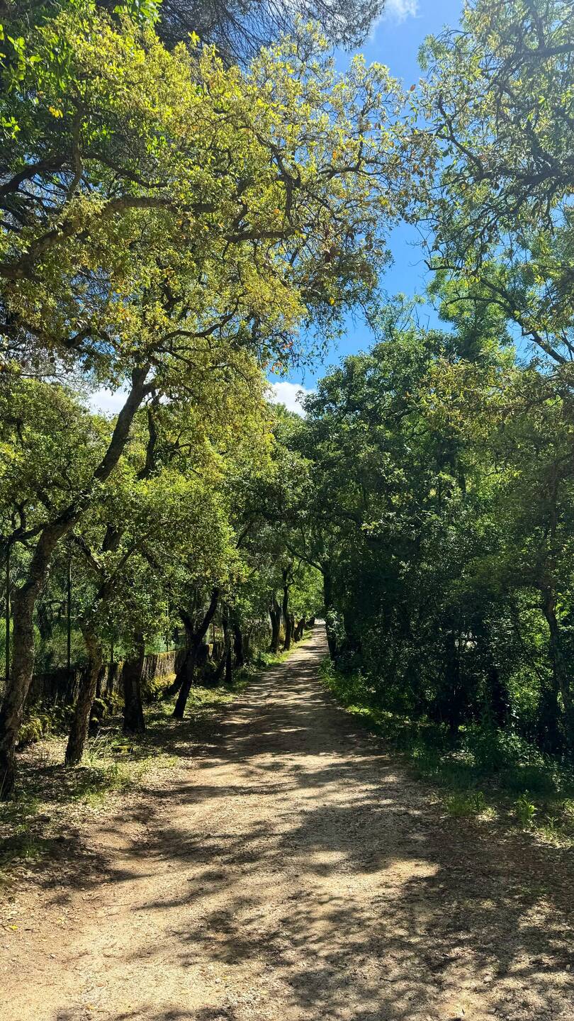 Parque Municipal do Cabeço de Montachique