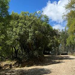 Parque Municipal do Cabeço de Montachique