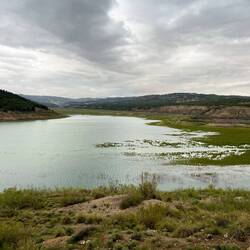 ..nun begnügt sich die Vogelwelt mit der neugewonnenen Fläche.