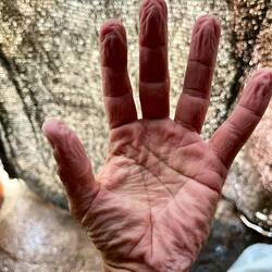 Zeit weiterzugehen - das meint auch meine 80-jährige Hand 👴🏻