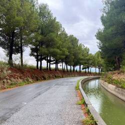 ..ein Stück mit, ehe ich das allerletzte..