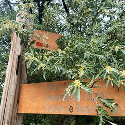 ..mal ein Anzeichen des GR7 sehe - Vielen Dank und Tschüss 👋🏼