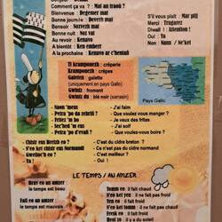 Un pò di lessico Bretone