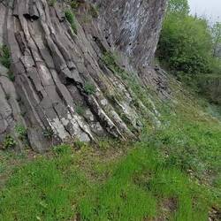 Am Basaltkegel Parkstein!