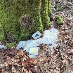 Wir haben den Wegewart vom Goldsteig schon informiert!