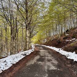 Zum Glück war der Schnee nur am Rand der Strasse