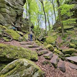 En er komt nog veel meer!