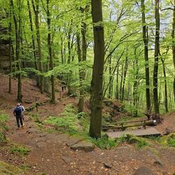 Die mensen gaan de andere kant op, kan je nagaan hoe ik geklommen heb.