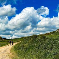 This sweet couple was walking hand & hand for a large stretch of the day today ❤️