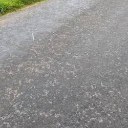 The scream I scrumpt could deafen a child