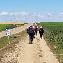 Sometimes I feel like a sheep