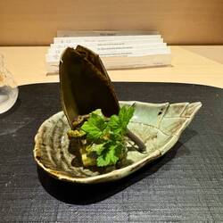 2: Bamboo shoots, Squid, Mogwort-Fu, & Mogwort Miso