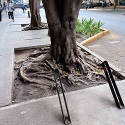 Bike parking