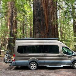 Another average size tree, car wins...